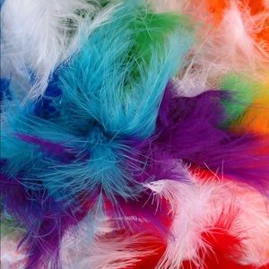 Meet your Posher, Latasha